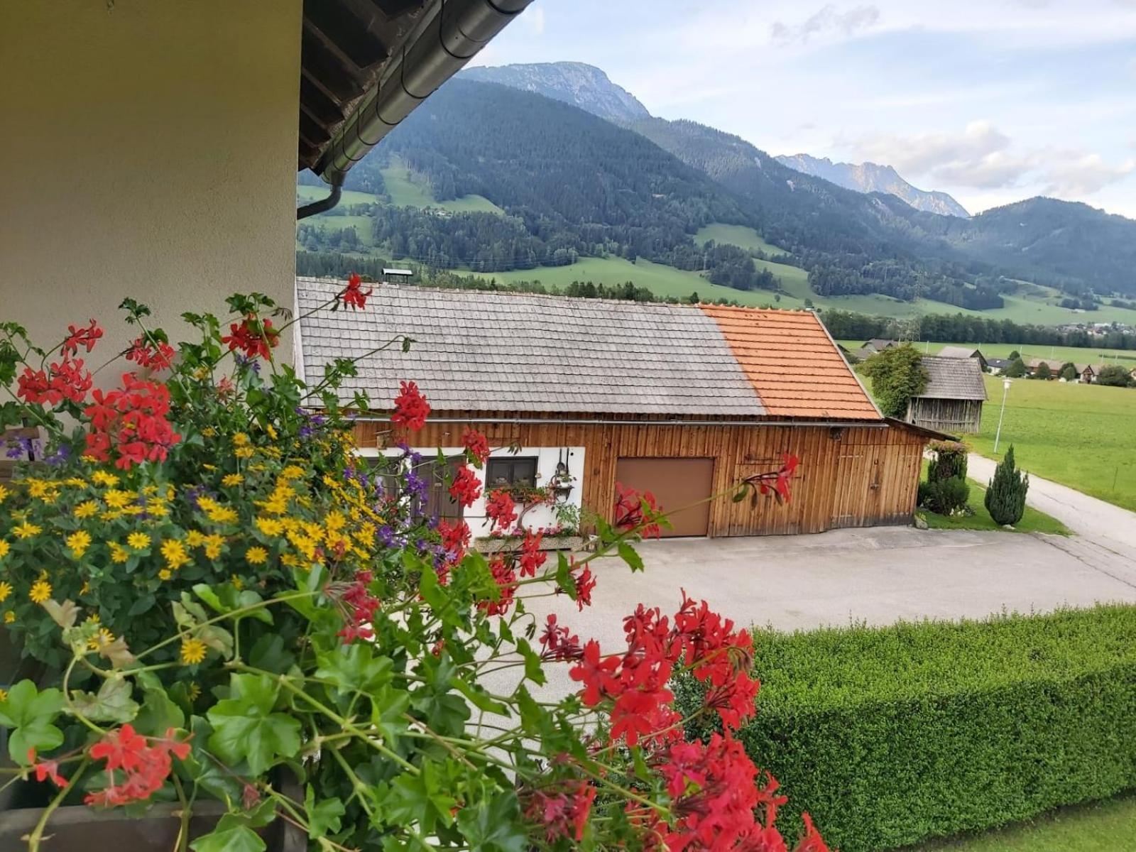 Appartment Luki Haus im Ennstal Buitenkant foto