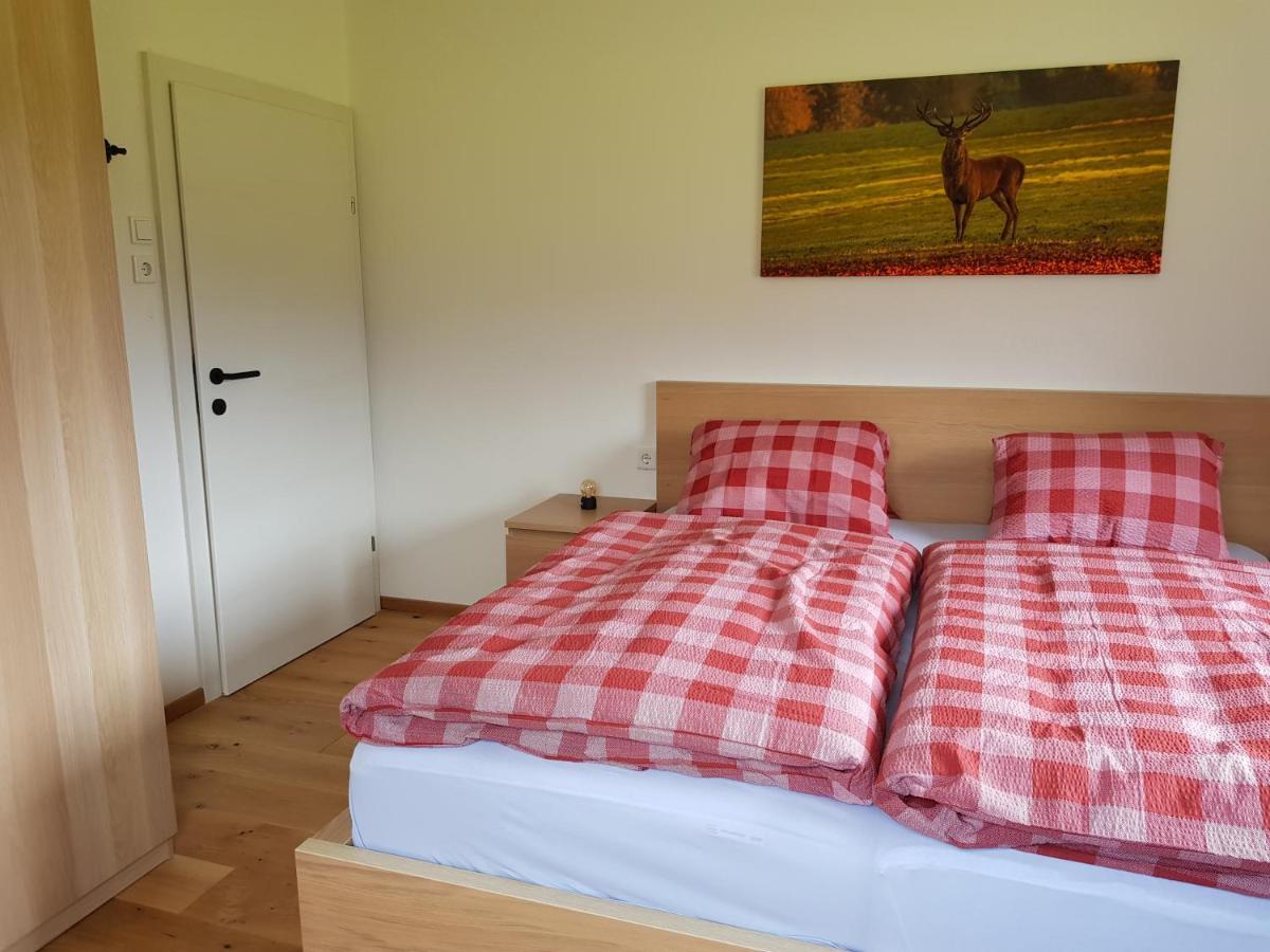 Appartment Luki Haus im Ennstal Buitenkant foto